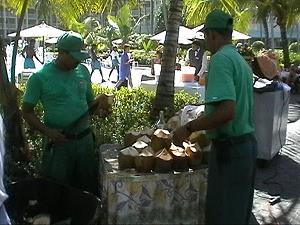 Coconut-Party im RIU Palace Macao