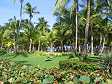 Gartenanlage des RIU Palace Macao