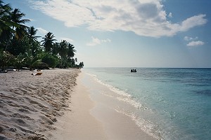 Strand auf der Isla Saona